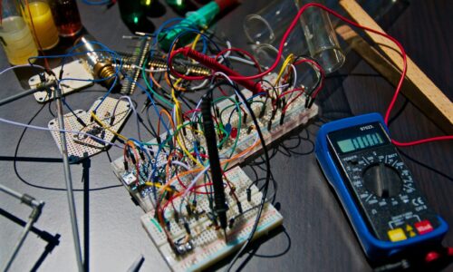 الصورة المصغرة للدورة